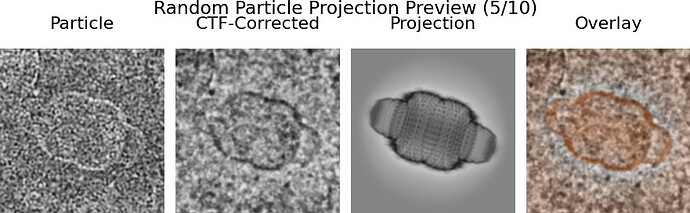 5_10_Random_Particle_Projection_Preview_particle_uid_14622047242433689426_row_238555_from_P11_J456_particles