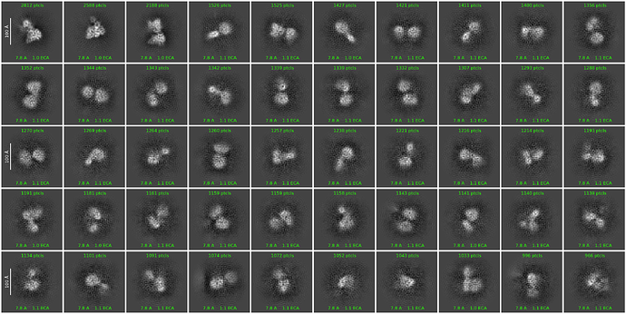 J230_2d_classes_for_iteration_61