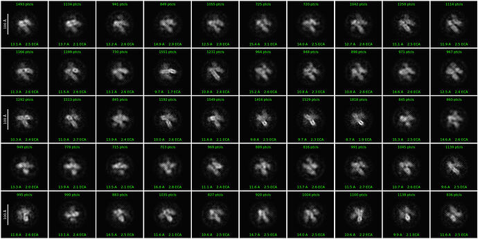 J497_2d_classes_for_iteration_20