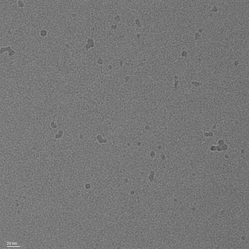 HTo_8_prev1 Buffer only