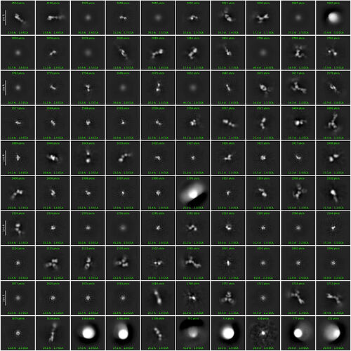 J3622_2d_classes_for_iteration_40