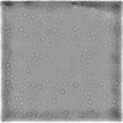 J25_denoised_output_micrograph