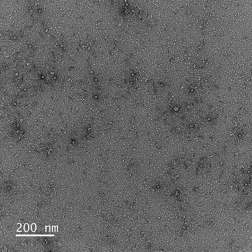 Fe-NC-1000_-0090