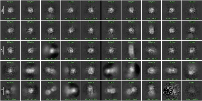 J8_2d_classes_for_iteration_25