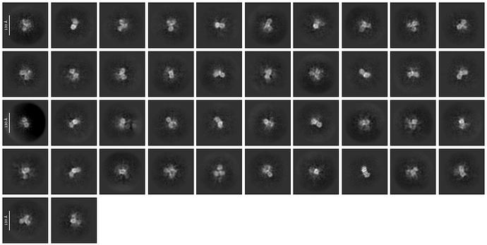 J198_selected_42_classes