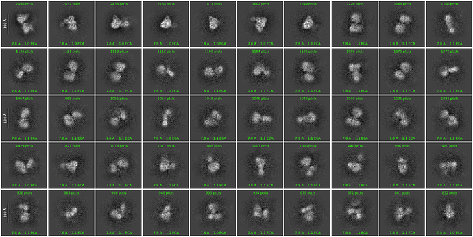 J227_2d_classes_for_iteration_60