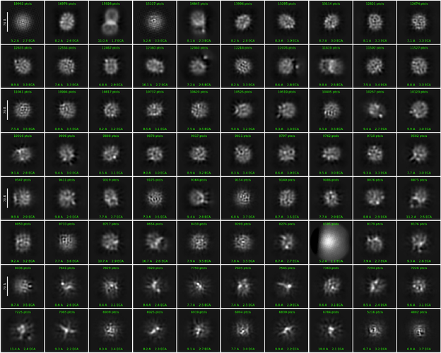 J22_2d_classes_for_iteration_40