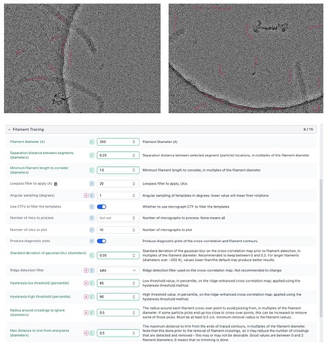 Cryosparc discussion