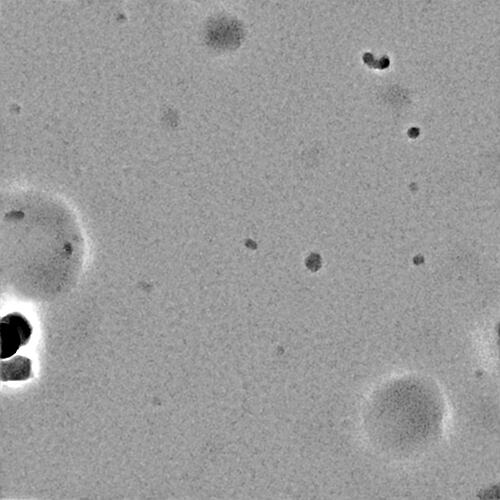 J40_denoised_output_micrograph