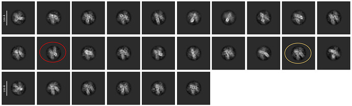 select 2D 51647 particles