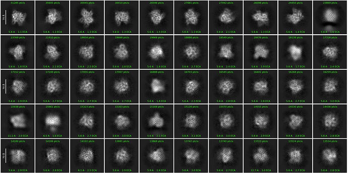 Capture d'écran 2026-01-13 081030