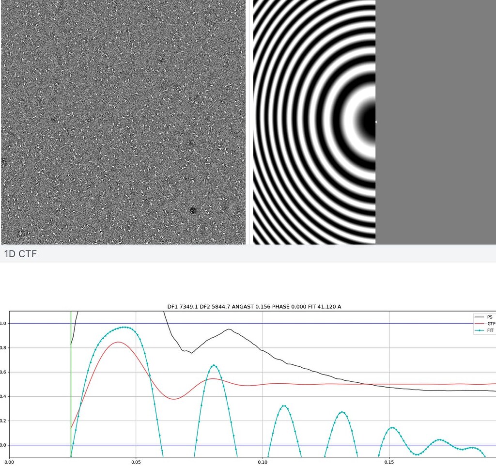 CTF value above 1, out of plot - CTF Estimation - CryoSPARC Discuss