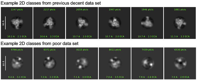 Screenshot 2026-03-03 at 10.37.59 AM