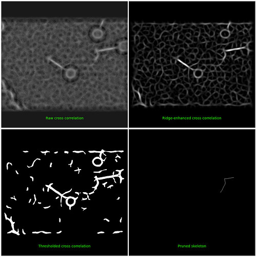 J379_diagnostic_plot_for_micrograph_j310motioncorrected002611118198866572272_foilhole_2436849_data_2433688_2433690_20250404_113827_fractions_patch_aligned_doseweightedmrc