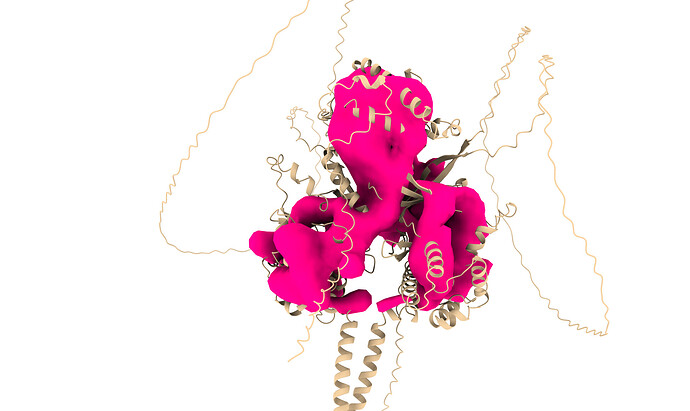 Ab initio structure with alphafold fitted