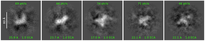 J42_2d_classes_for_iteration_20