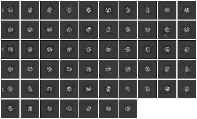 J272_selected_57_classes(1)