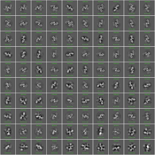 J1117_2d_classes_for_iteration_43