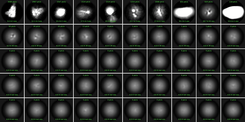 2D classification shows bright class averages 2D Classification