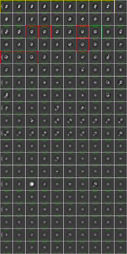 2d_classes_300px_2