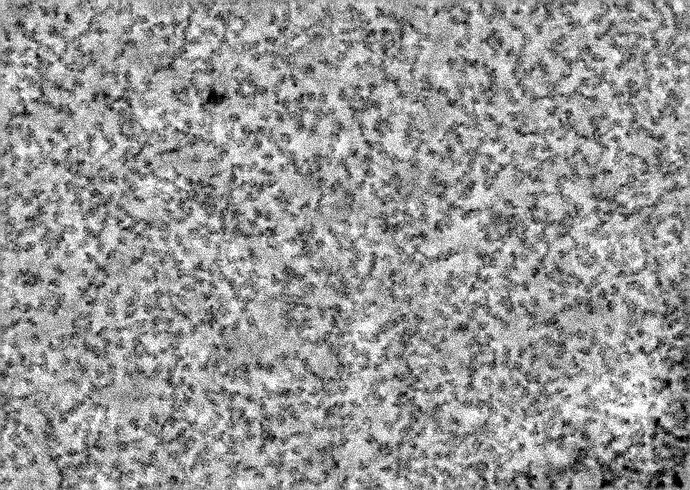 J13_raw_input_micrograph