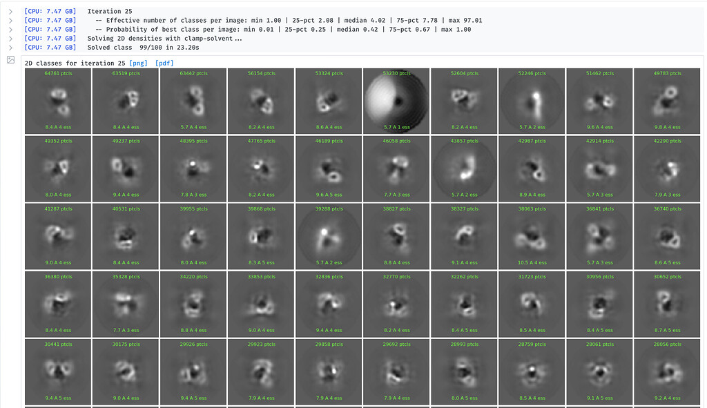 TOPAZ Picked 2D Classes are Gray Compared to Blacker TemplatePicked 2D