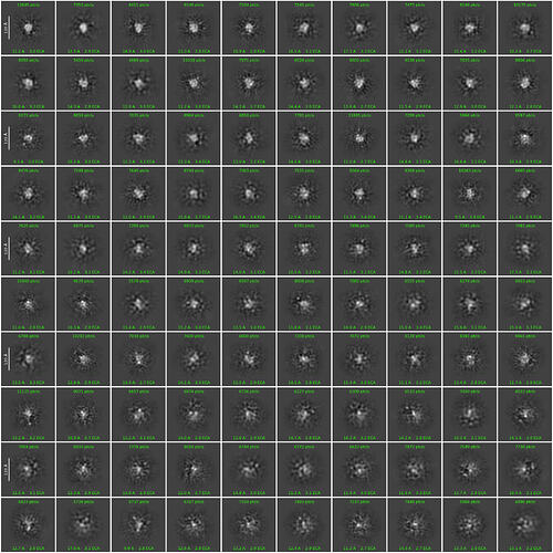 J1576_2d_classes_for_iteration_40
