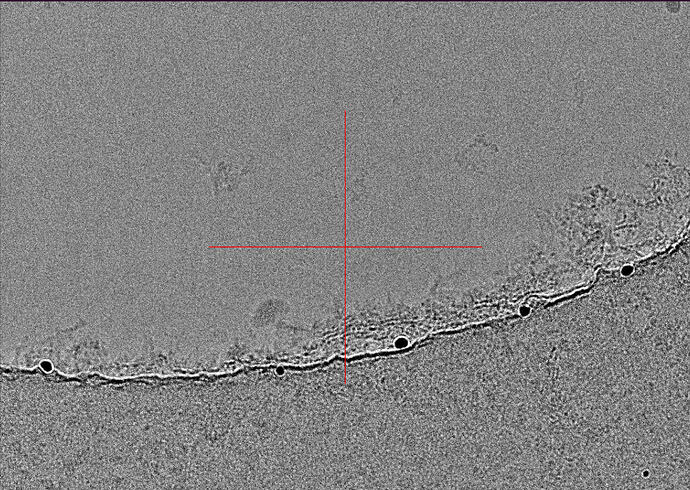 Screenshot 2026-07-11 at 4.47.42 PM