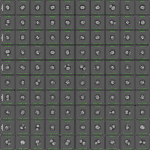 J8_2d_classes_for_iteration_10