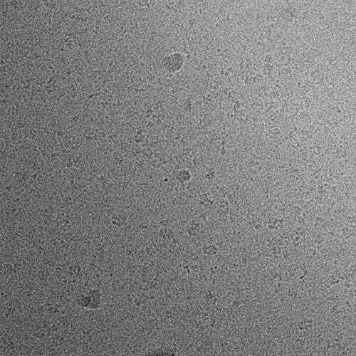 J25_raw_data_j25imported016906621011637805107_foilhole_11531846_data_11529609_19_20260212_143546_fractionstiff