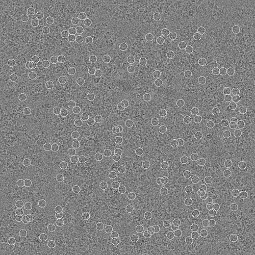 J753_rejected_particles_for_micrograph_j653motioncorrected014933416851116889290_foilhole_30929181_data_30934266_30934268_20231101_080425_eer_patch_aligned_doseweightedmrc
