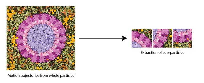 COVID_RBMC_sub-particles