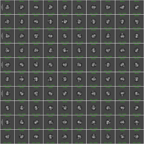 J204_2d_classes_for_iteration_30