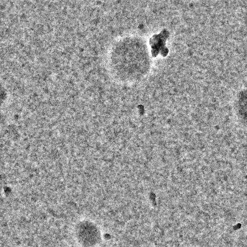 J40_raw_input_micrograph