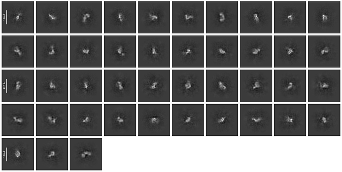 J20_selected_43_classes