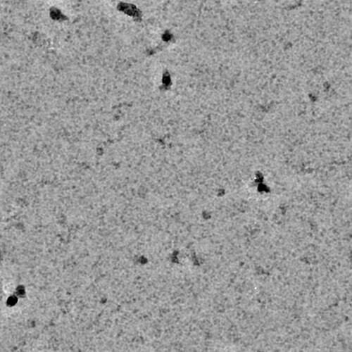 J75_denoised_output_micrograph