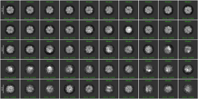 J102_2d_classes_for_iteration_20