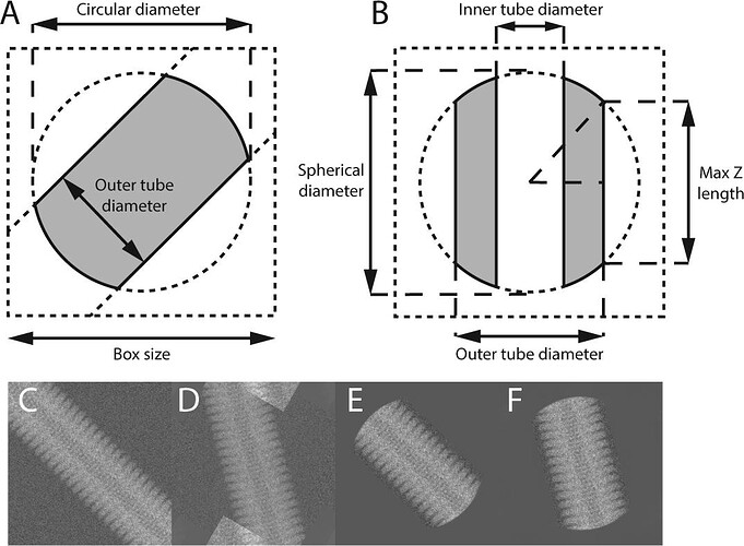 relion_helical