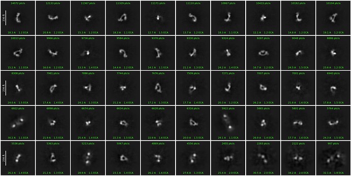 J236_2d_classes_for_iteration_20