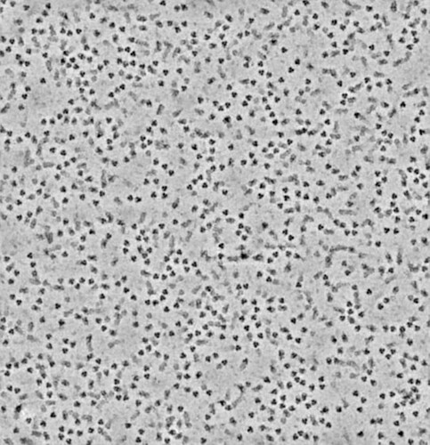P6-J127-11853734564997016283