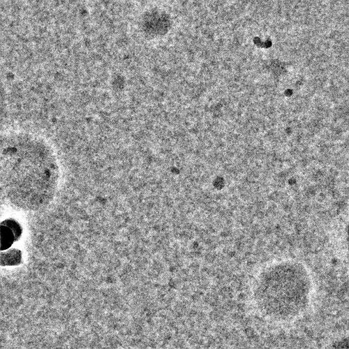 J40_raw_input_micrograph (1)