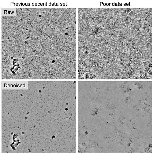 Screenshot 2026-03-03 at 10.26.46 AM