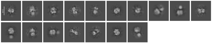 J236_selected_17_classes