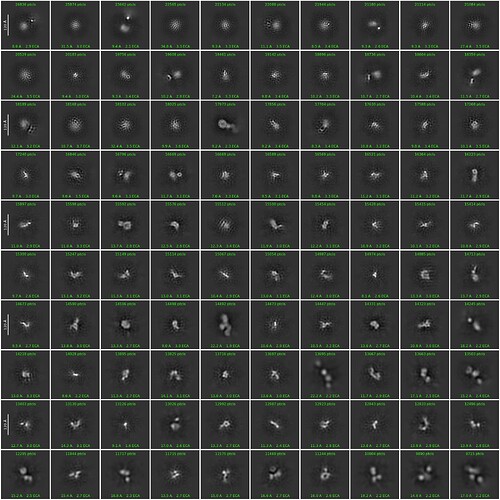 J13_2d_classes_for_iteration_80