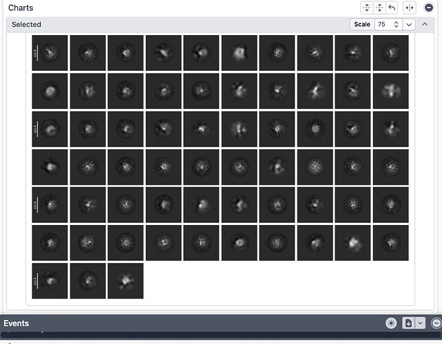 Screenshot 2026-06-22 at 14.11.42