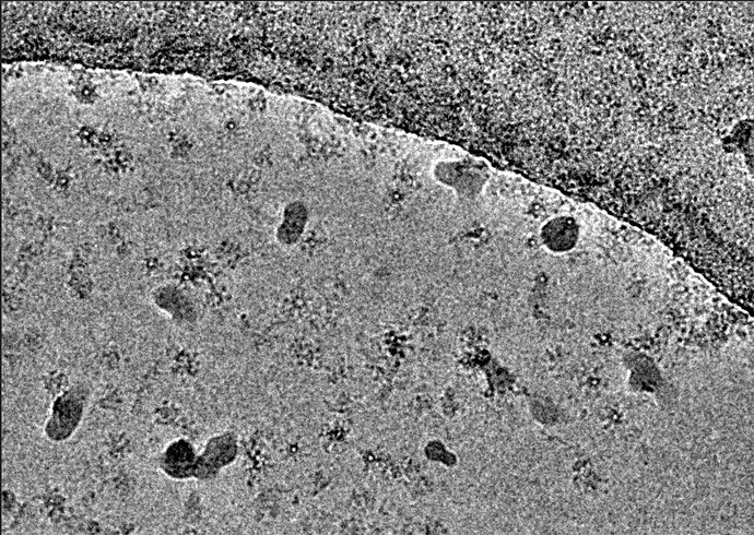 Screenshot from 2025-08-05 15-44-51