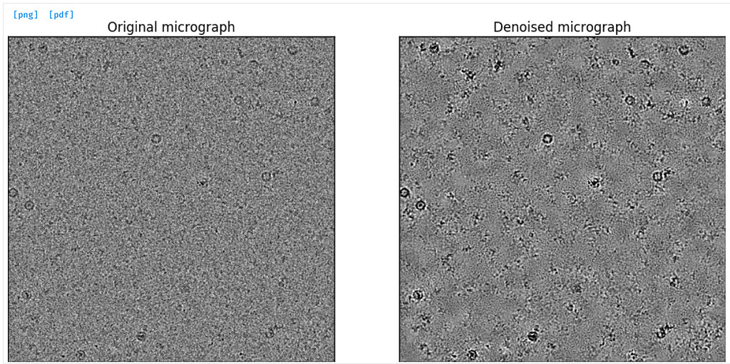 Problem displaying denoise micrographs in manual picking Particle