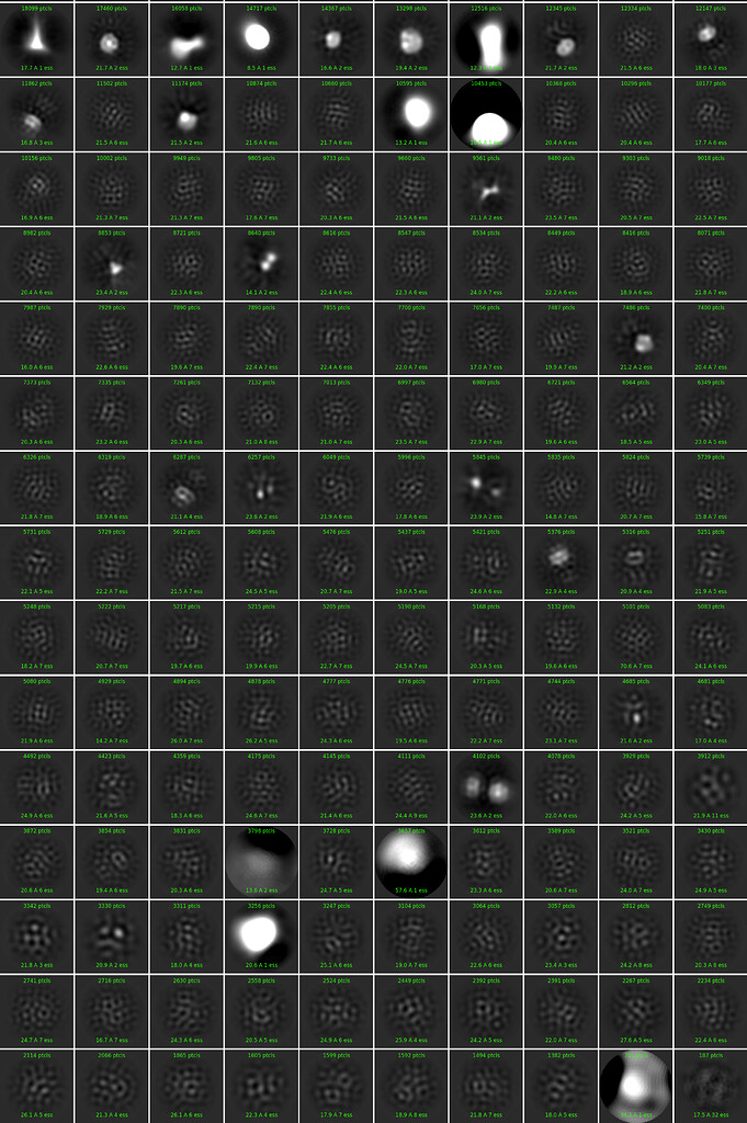 I have some weird 2D classification results - Troubleshooting ...