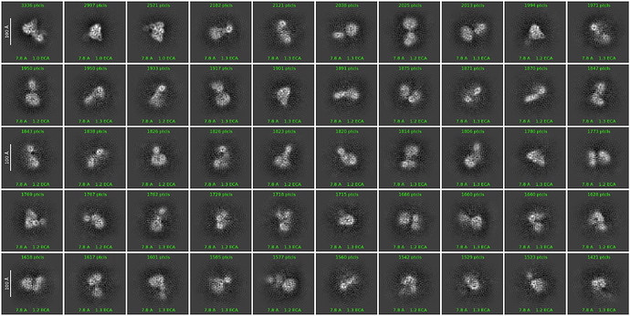J228_2d_classes_for_iteration_60