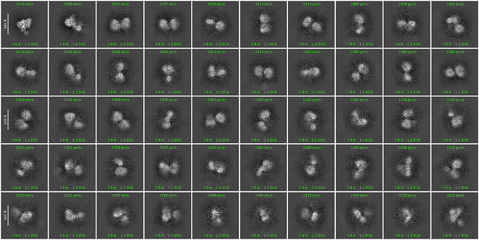 J229_2d_classes_for_iteration_60